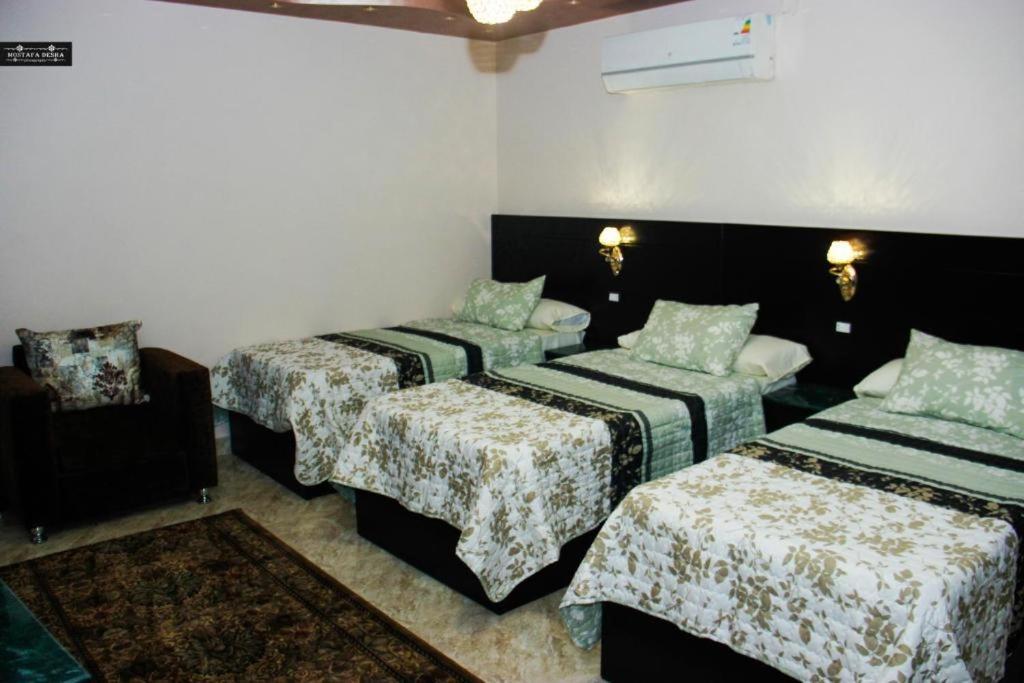 Aswan Plaza - Share Apartment Exteriör bild